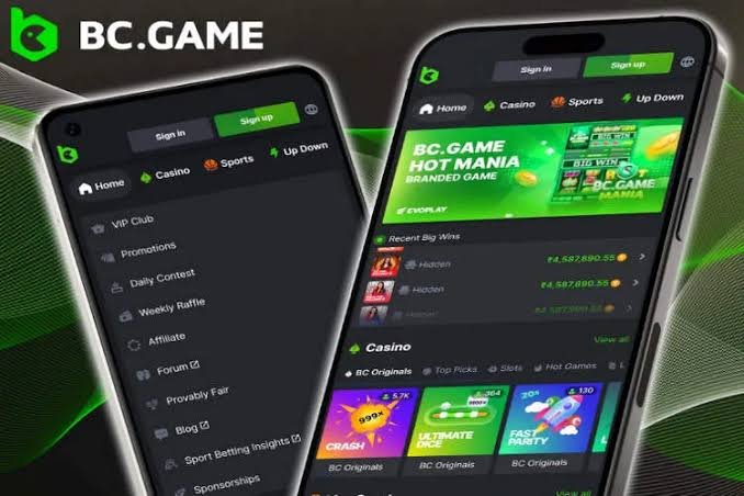Discover the Exciting Features of BC.Game Indonesia App Discover the Exciting Features of BC.Game Indonesia App